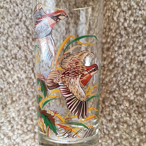 RARE! Vintage (Set of 8) Wild Fowl Glasses - Picture 8 of 9